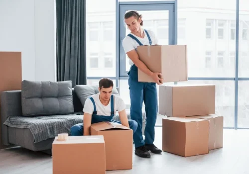 1711706532_professional-packers-&-movers-company